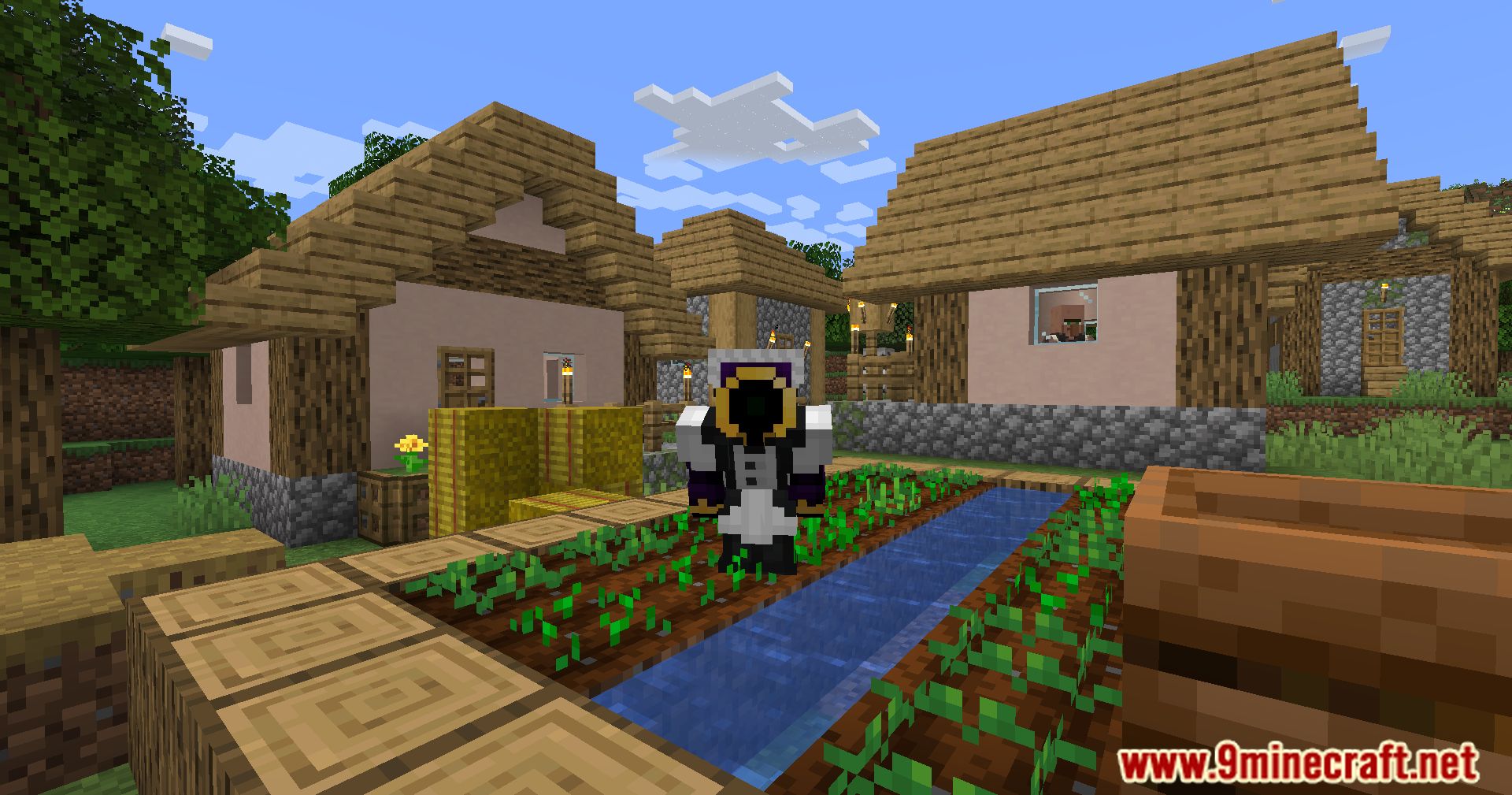 Cosmetic Armours Mod (1.20.4, 1.20.1) - Personalized Style 9