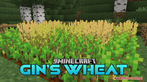 Gin’s Wheat Resource Pack (1.20.6, 1.20.1) – Texture Pack Thumbnail