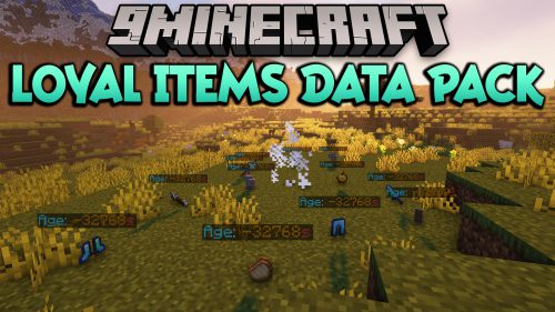 Loyal Items Data Pack (1.21, 1.20.1) – Your Items Will Never Despawn Thumbnail