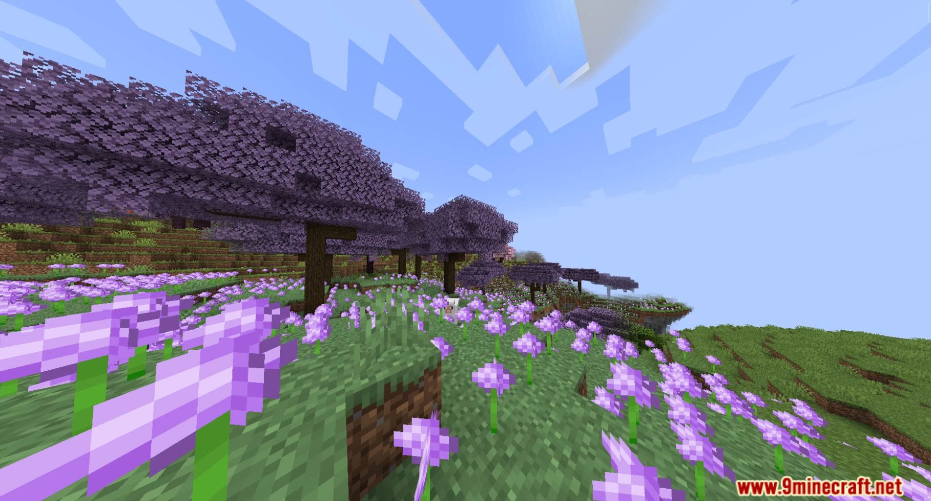 New Biomes Data Pack (1.20.6, 1.20.1) - A Minecraft Adventure Awaits! 8