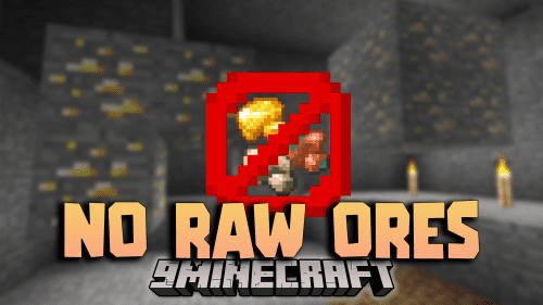 No Raw Ore Data Pack (1.20.6, 1.20.4) – A Blast from the Past Thumbnail