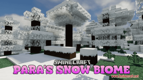 Para’s Snow Biome Resource Pack (1.20.6, 1.20.1) – Texture Pack Thumbnail