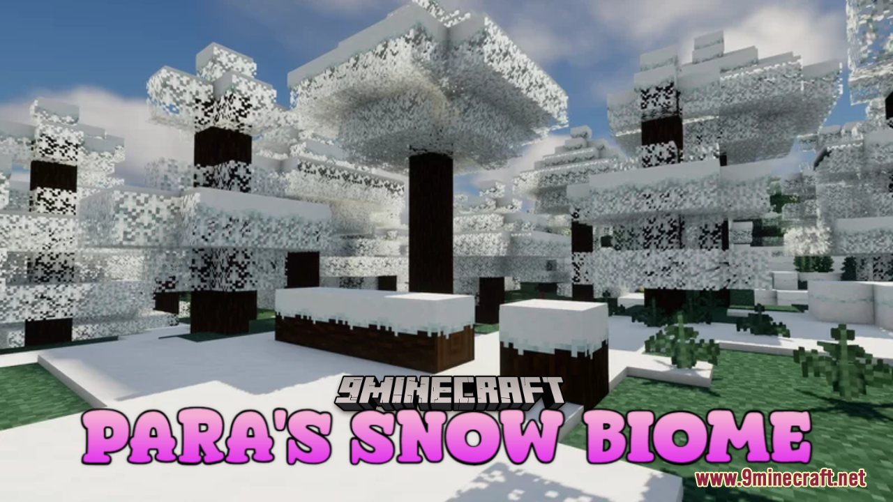 Para's Snow Biome Resource Pack (1.20.6, 1.20.1) - Texture Pack 1