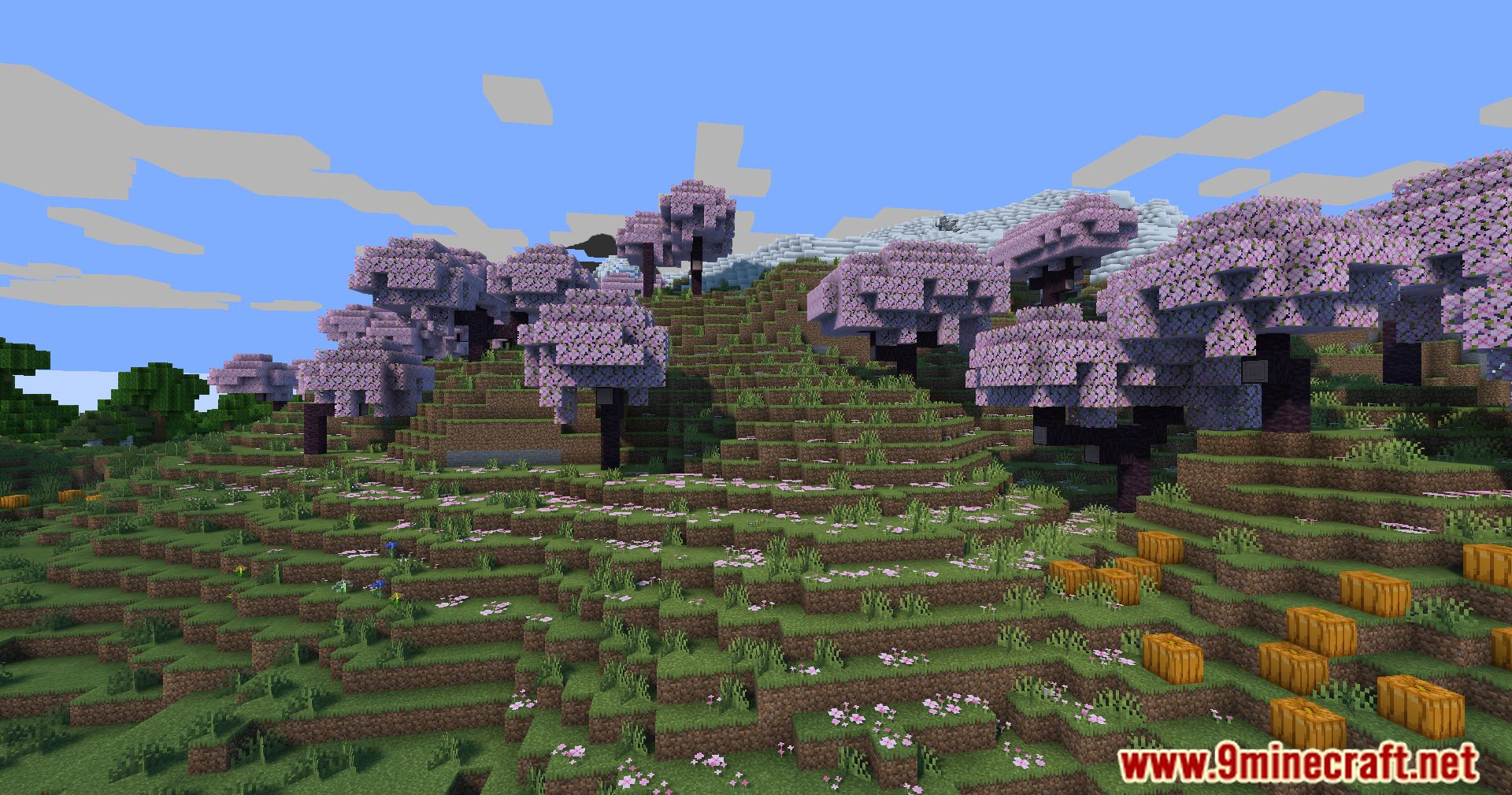 Silly Wanker Shaders (1.21, 1.20.1) - Stunning Visuals Without Compromise 9