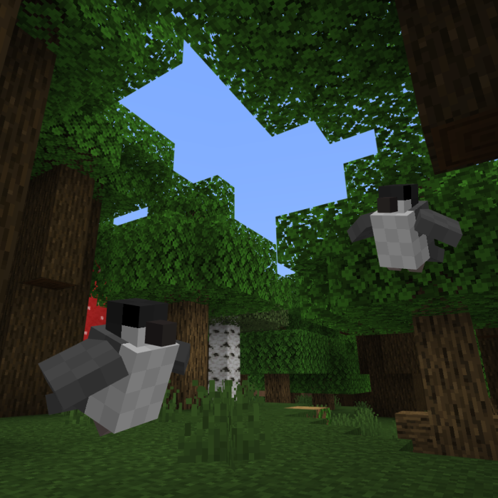 Taco's Birds Addon (1.20) - MCPE/Bedrock Mod 12