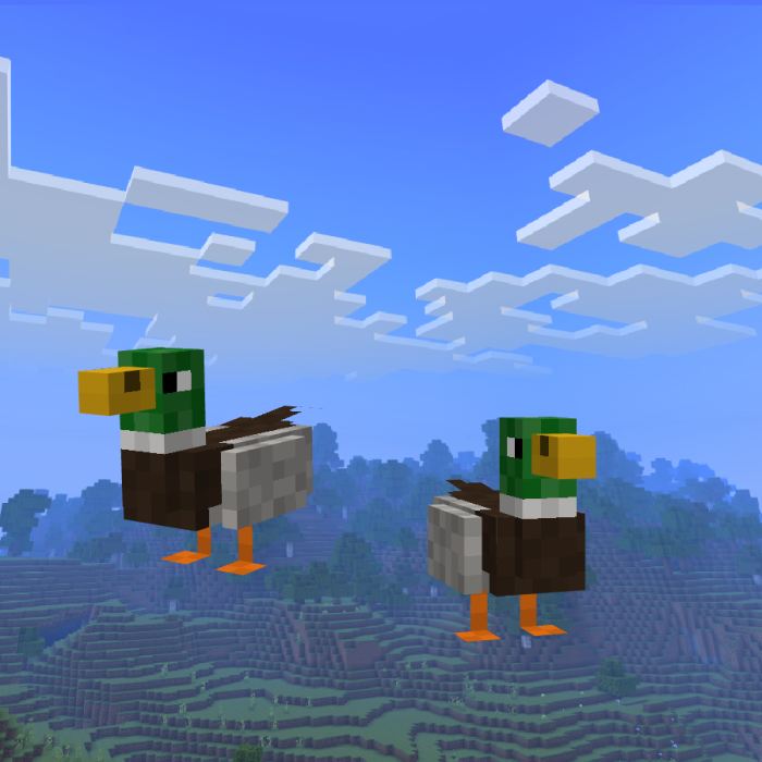 Taco's Birds Addon (1.20) - MCPE/Bedrock Mod 7