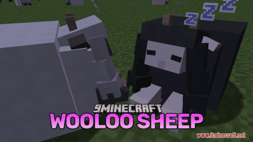 Wooloo Sheep Resource Pack (1.20.6, 1.20.1) – Texture Pack Thumbnail