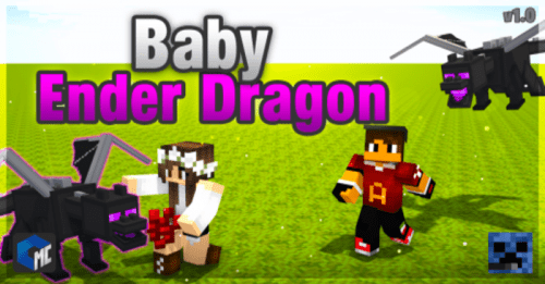 Baby Ender Dragon Addon (1.20) – MCPE/Bedrock Mod Thumbnail