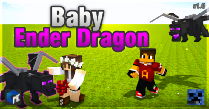 Baby Ender Dragon Addon (1.20) - MCPE/Bedrock Mod 1