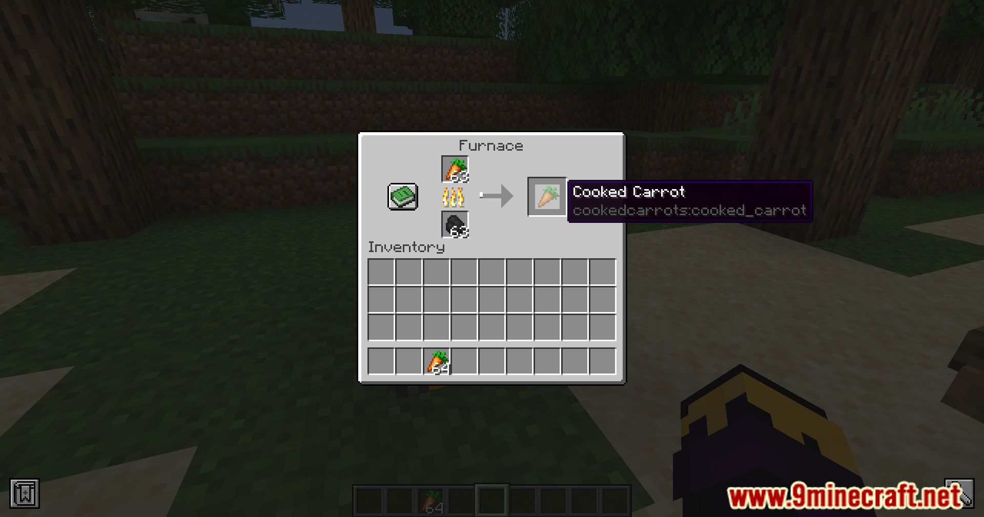 Cooked Carrots Mod (1.21, 1.20.6) - Quick Bites 7