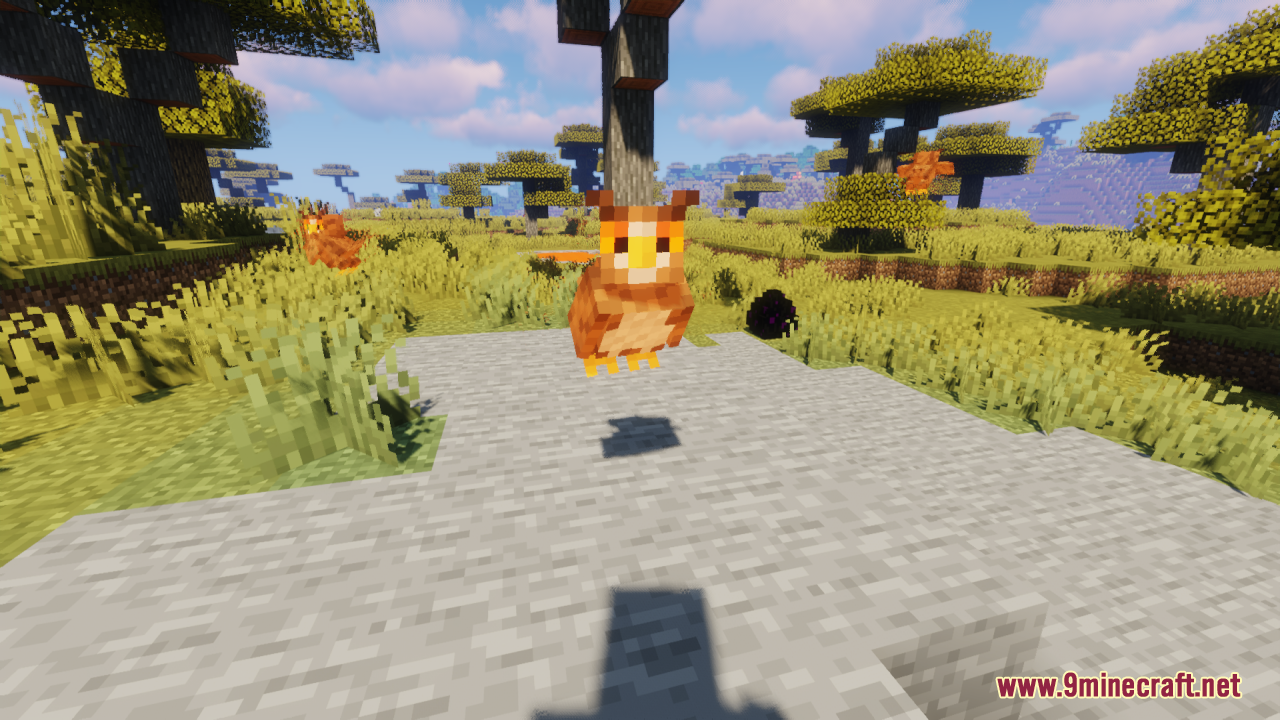 Owl Resource Pack (1.20.6, 1.20.1) - Texture Pack 6