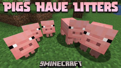 Pigs Have Litters Mod (1.21.1, 1.20.1) – More Piglets, More Fun Thumbnail