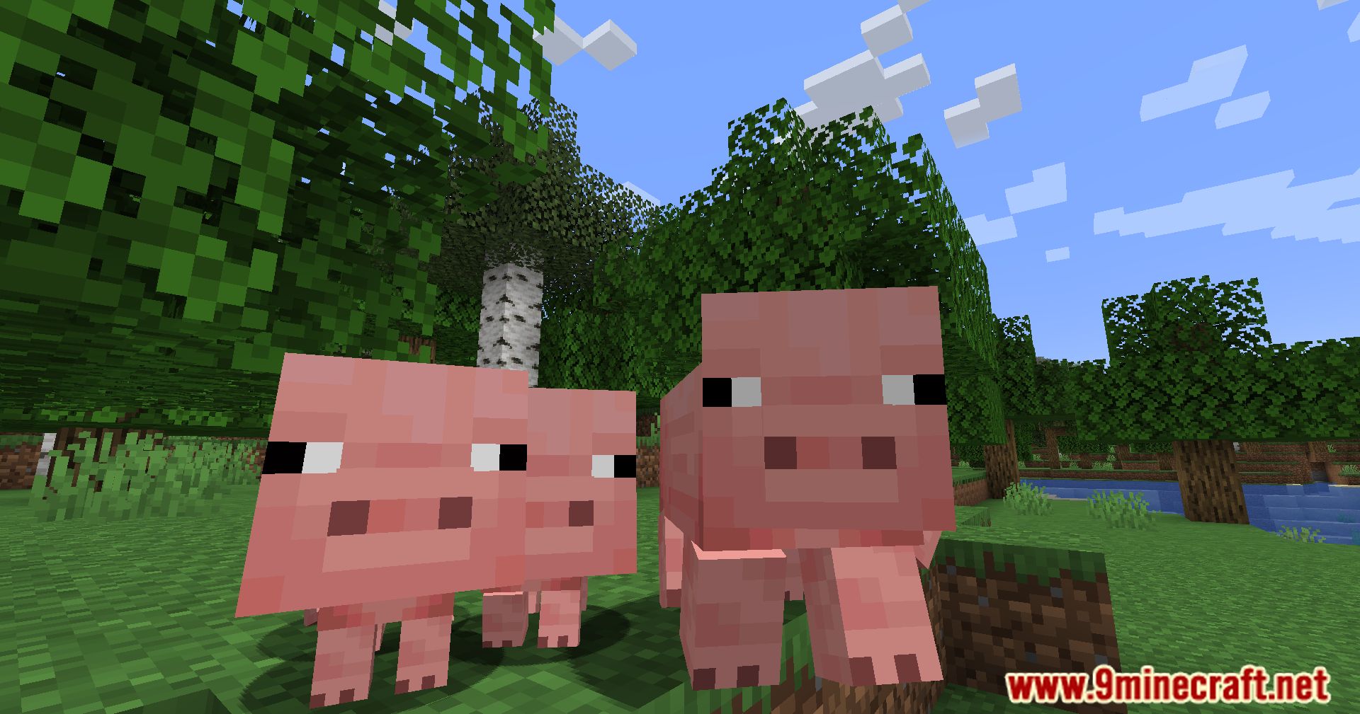 Pigs Have Litters Mod (1.21.1, 1.20.1) - More Piglets, More Fun 11