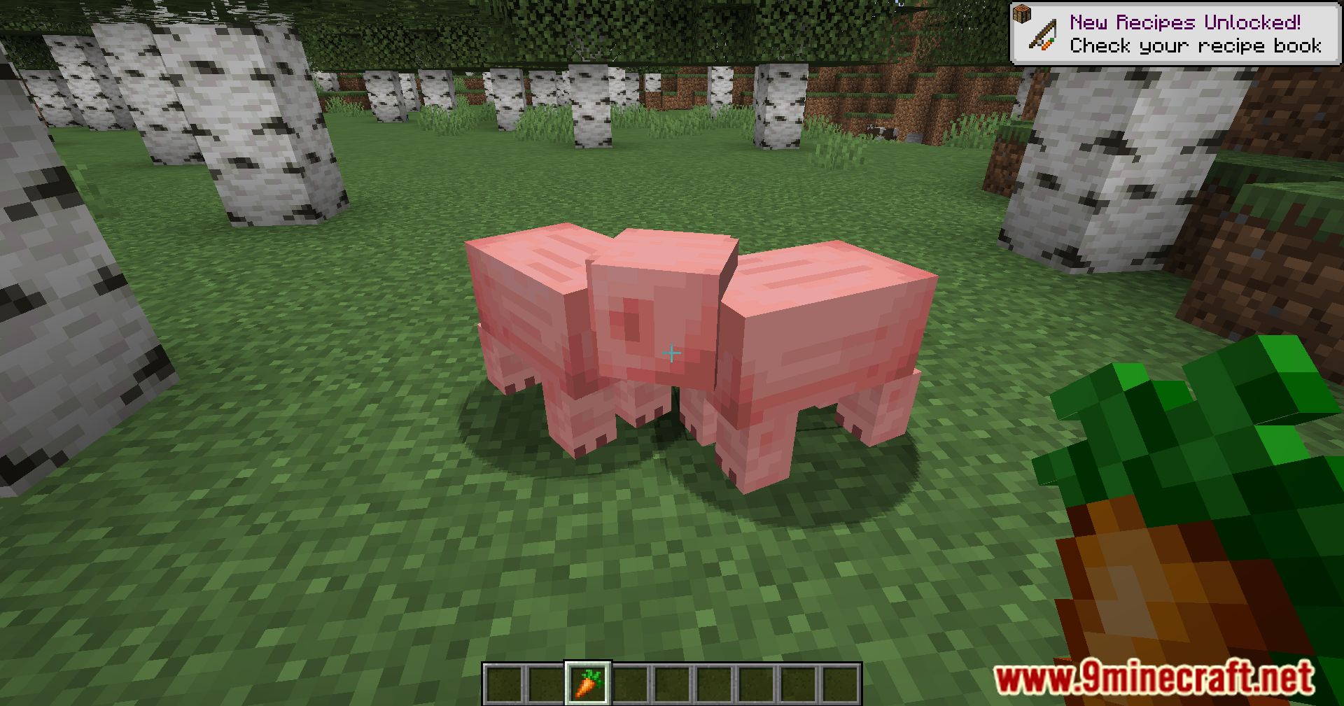 Pigs Have Litters Mod (1.21.1, 1.20.1) - More Piglets, More Fun 3