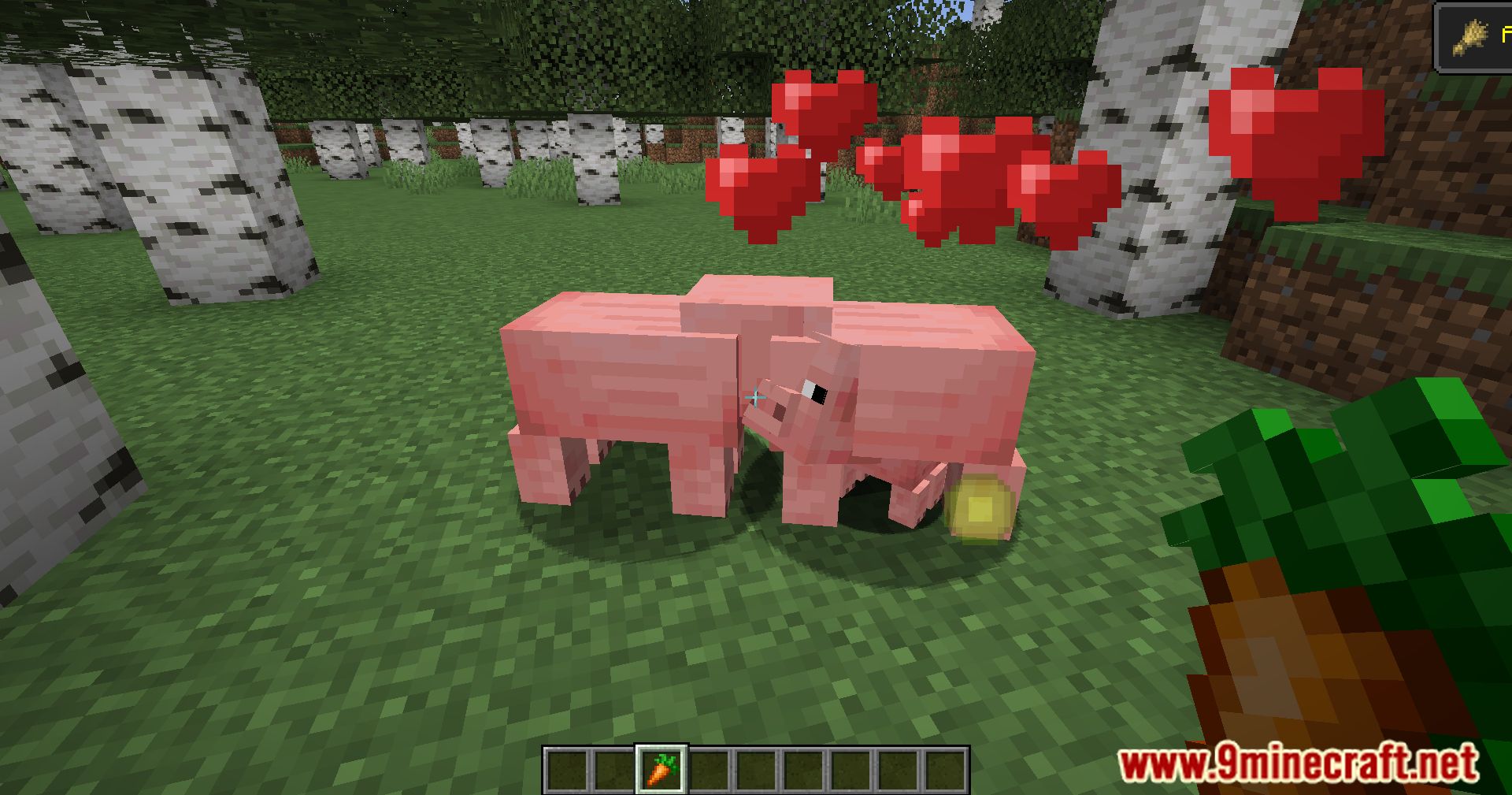 Pigs Have Litters Mod (1.21.1, 1.20.1) - More Piglets, More Fun 4