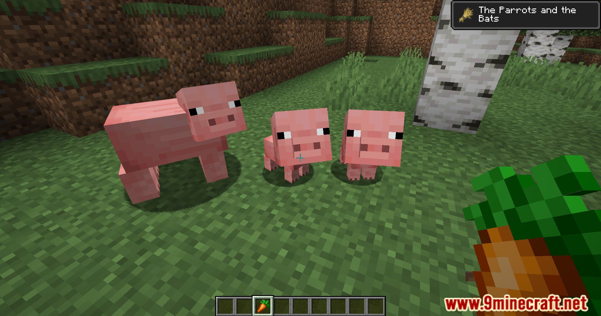 Pigs Have Litters Mod (1.21.1, 1.20.1) - More Piglets, More Fun 5