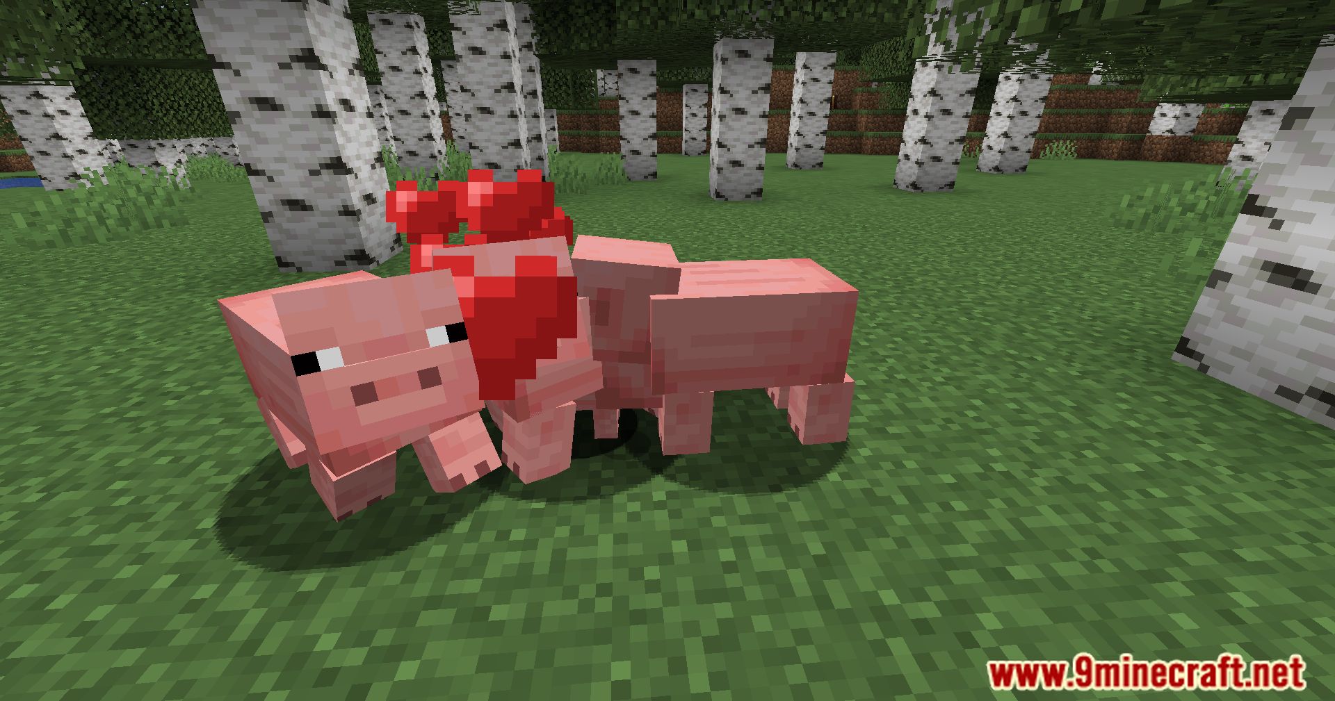 Pigs Have Litters Mod (1.21.1, 1.20.1) - More Piglets, More Fun 6