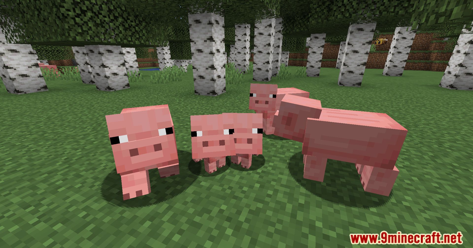 Pigs Have Litters Mod (1.21.1, 1.20.1) - More Piglets, More Fun 7