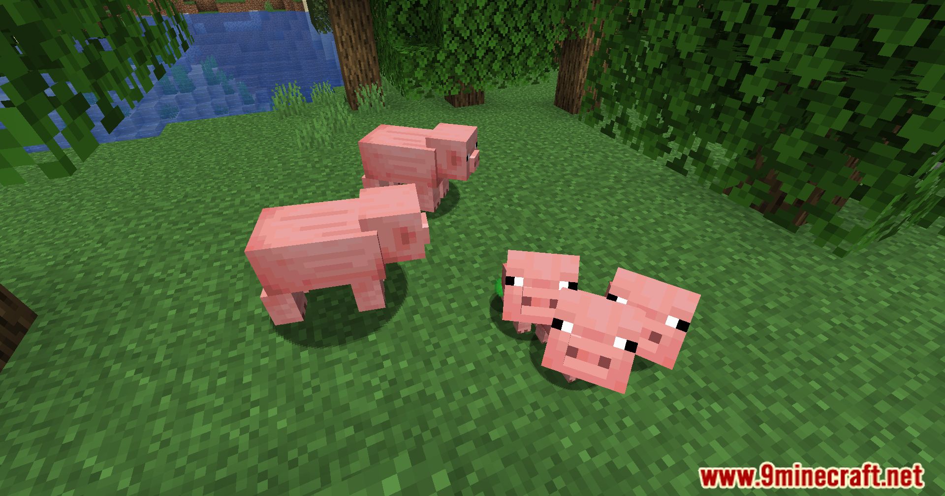 Pigs Have Litters Mod (1.21.1, 1.20.1) - More Piglets, More Fun 9