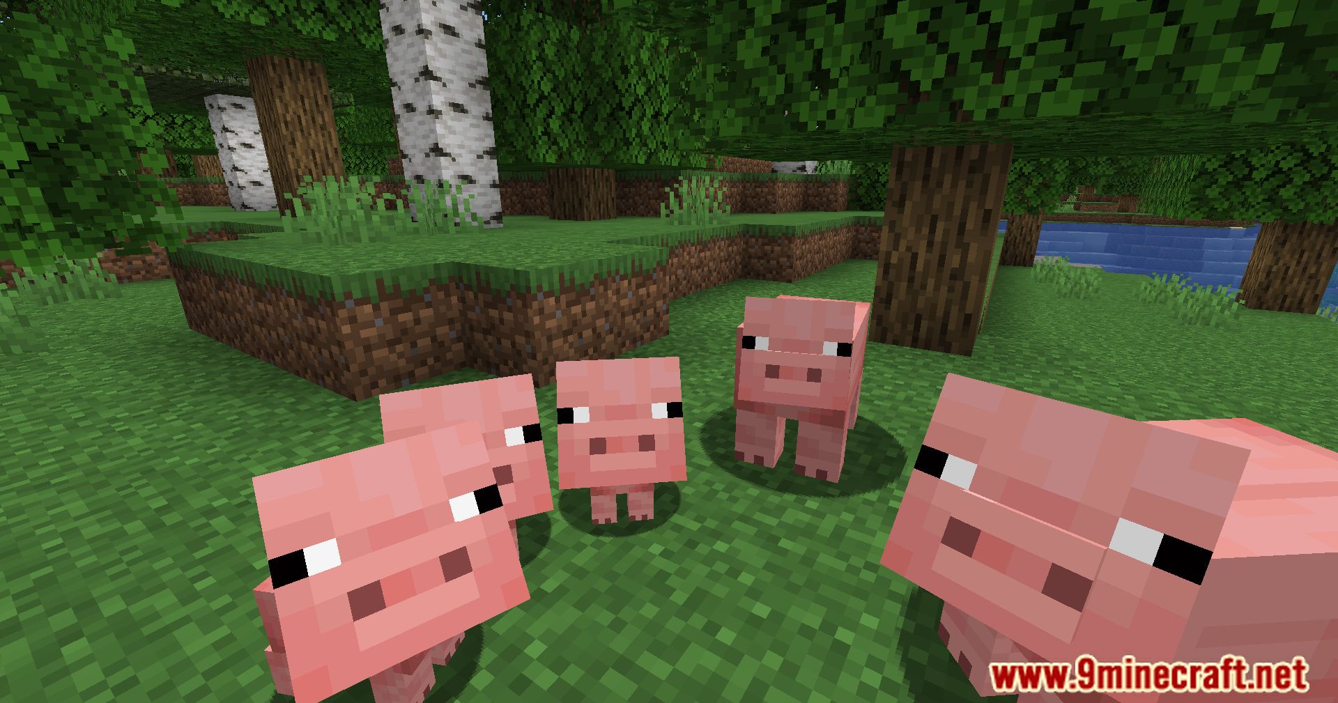 Pigs Have Litters Mod (1.21.1, 1.20.1) - More Piglets, More Fun 10