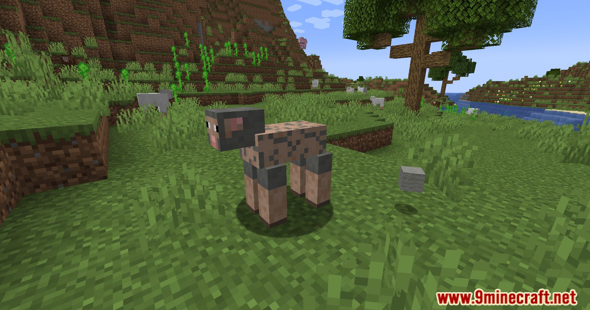 Sheep Consistency Mod (1.21, 1.20.1) - Keep Track of Your Sheep Colors 11