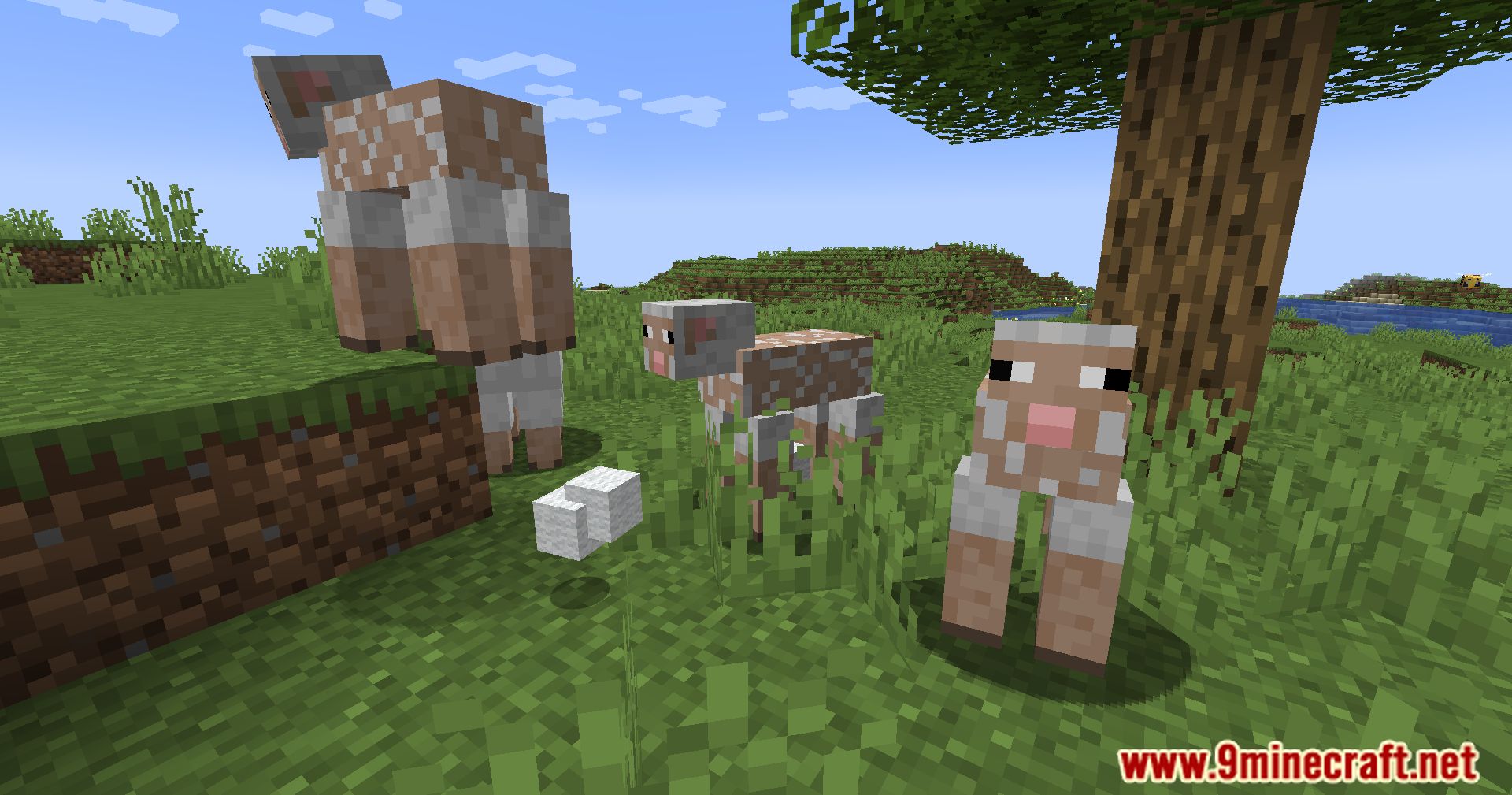 Sheep Consistency Mod (1.21, 1.20.1) - Keep Track of Your Sheep Colors 9