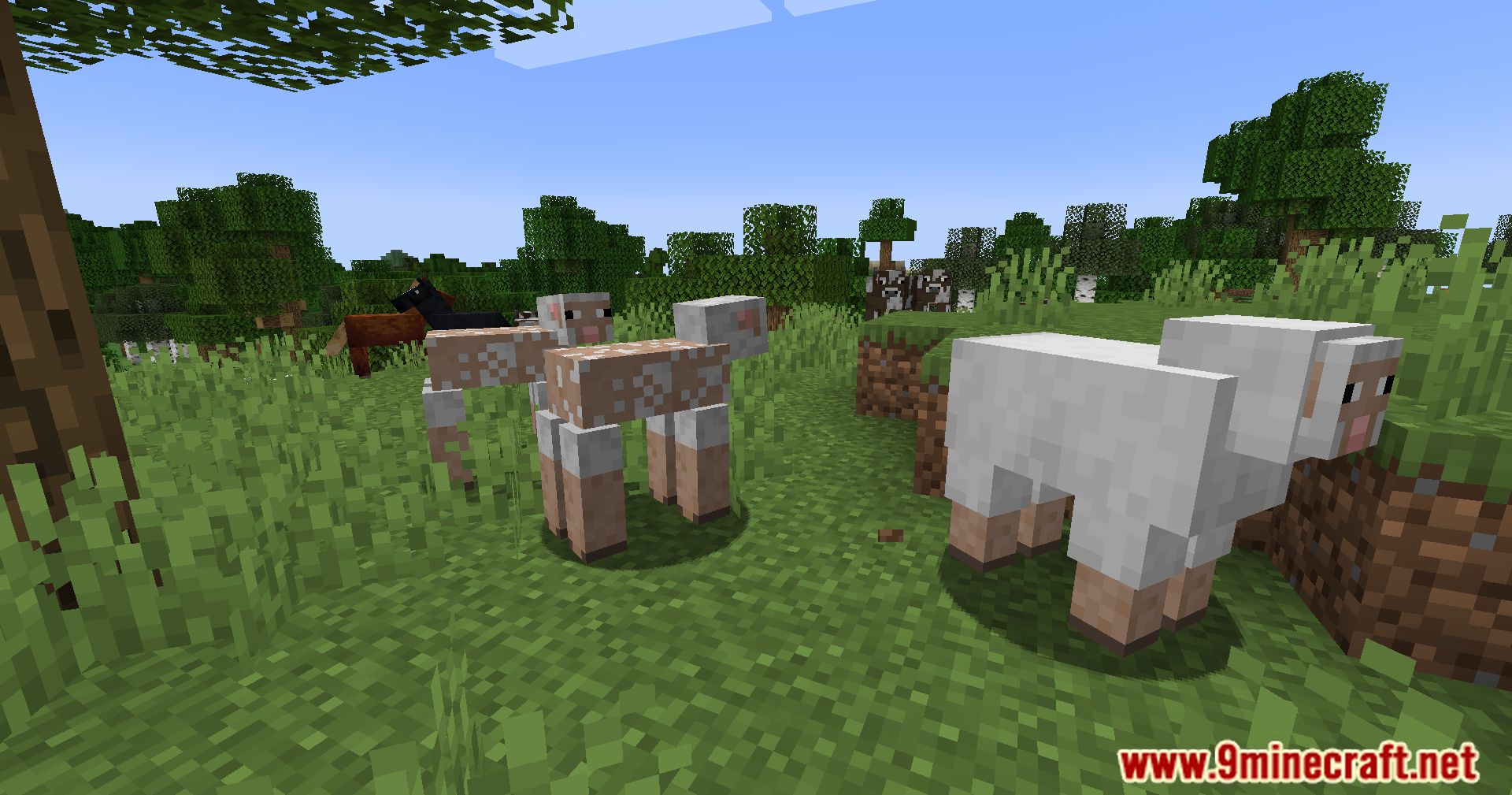 Sheep Consistency Mod (1.21, 1.20.1) - Keep Track of Your Sheep Colors 10