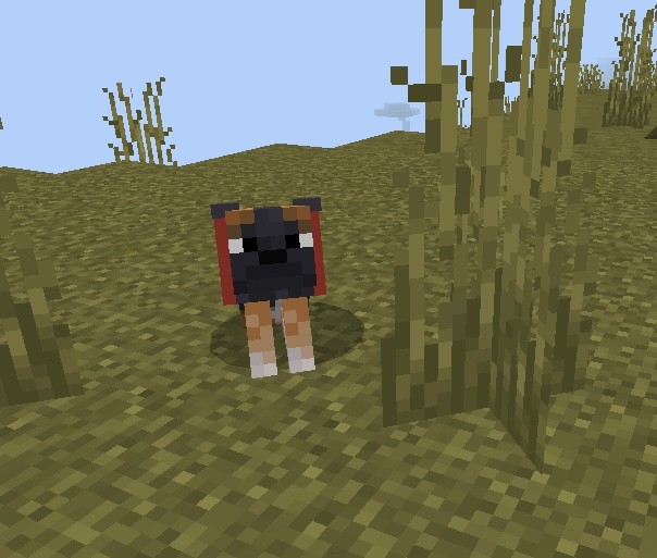 The Pug Addon (1.20) - MCPE/Bedrock Dog Mod 3