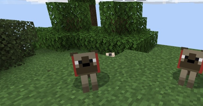 The Pug Addon (1.20) - MCPE/Bedrock Dog Mod 6