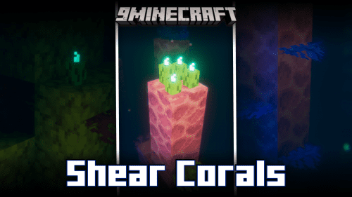 Shear Corals Mod (1.20.2, 1.20.1) – Use Shears To Collect Corals Thumbnail