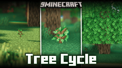 Tree Cycle Mod (1.20.4, 1.20.1) – Forest Regeneration Process Thumbnail