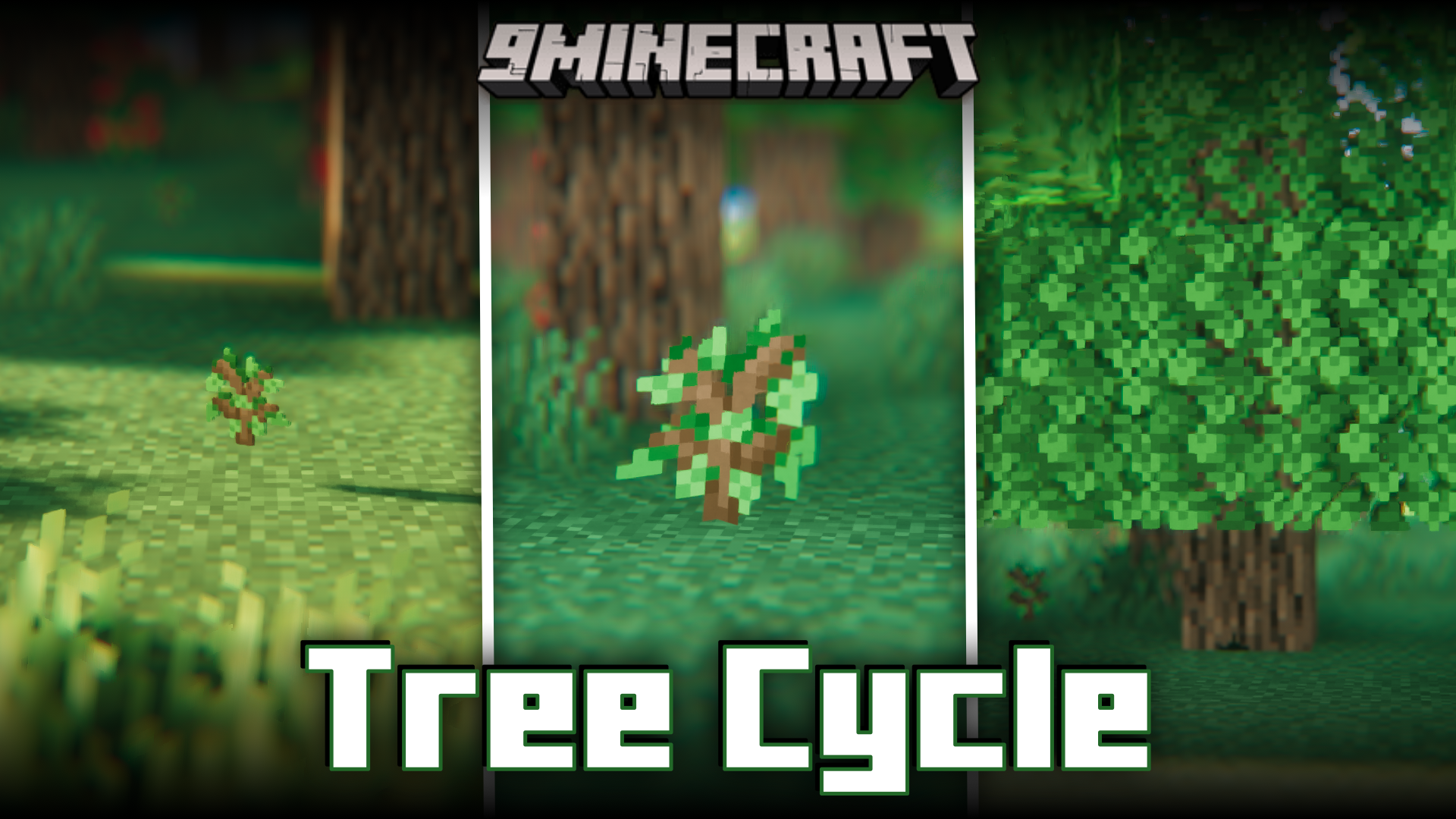 Tree Cycle Mod (1.20.4, 1.20.1) - Forest Regeneration Process 1