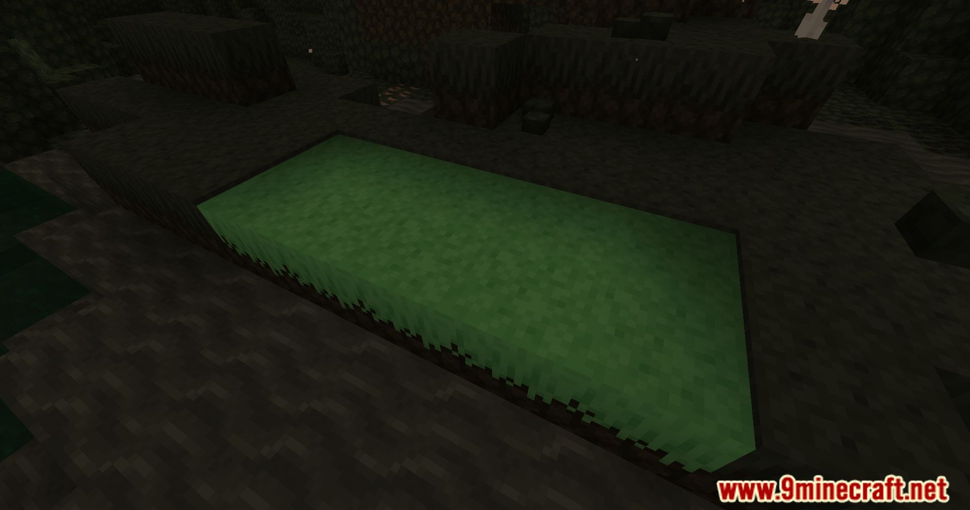 Undergarden Paths Mod (1.20.6, 1.20.1) - Detailed Landscaping 3