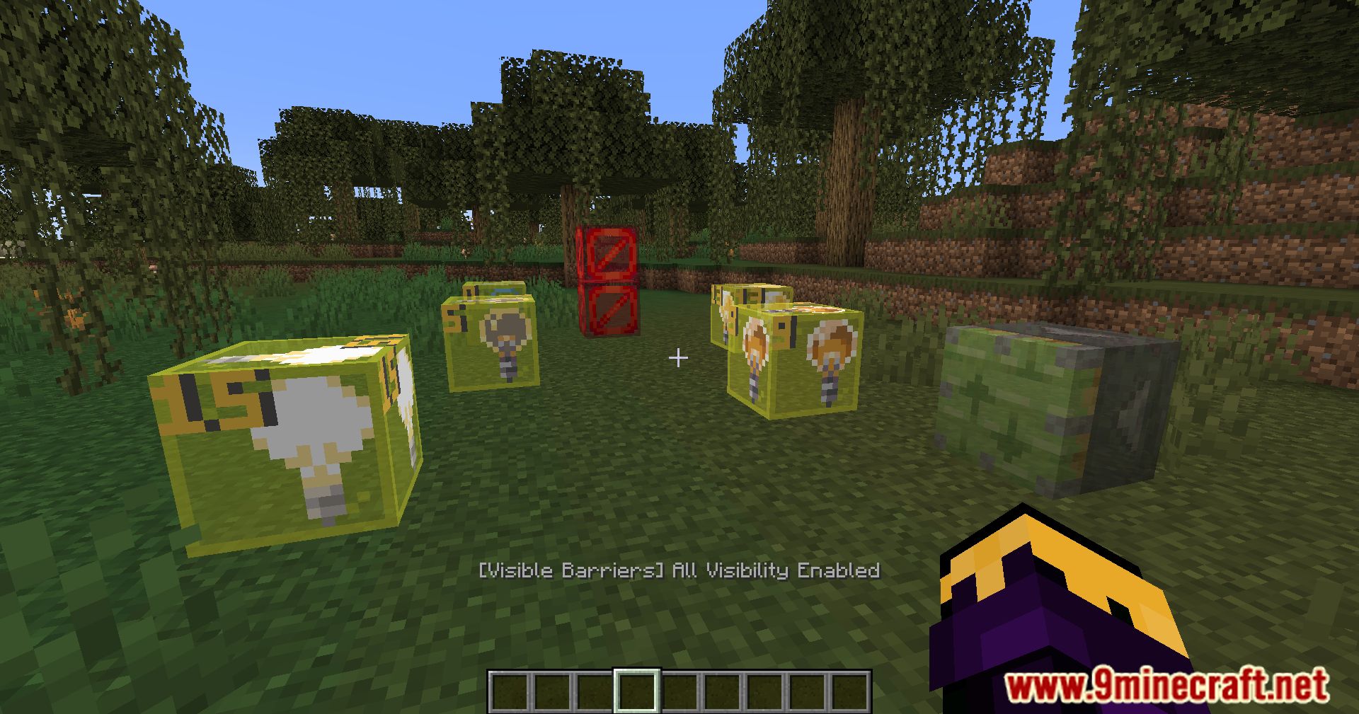 Visible Barriers Mod (1.21, 1.20.1) - Enhancing Minecraft Mapmaking 11