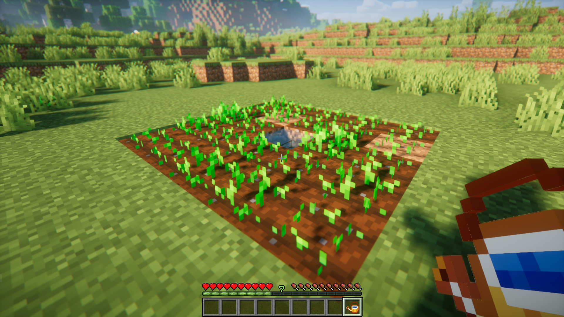 Watering Cans Mod (1.21.1, 1.20.1) - Speed Up Crop Growth 9