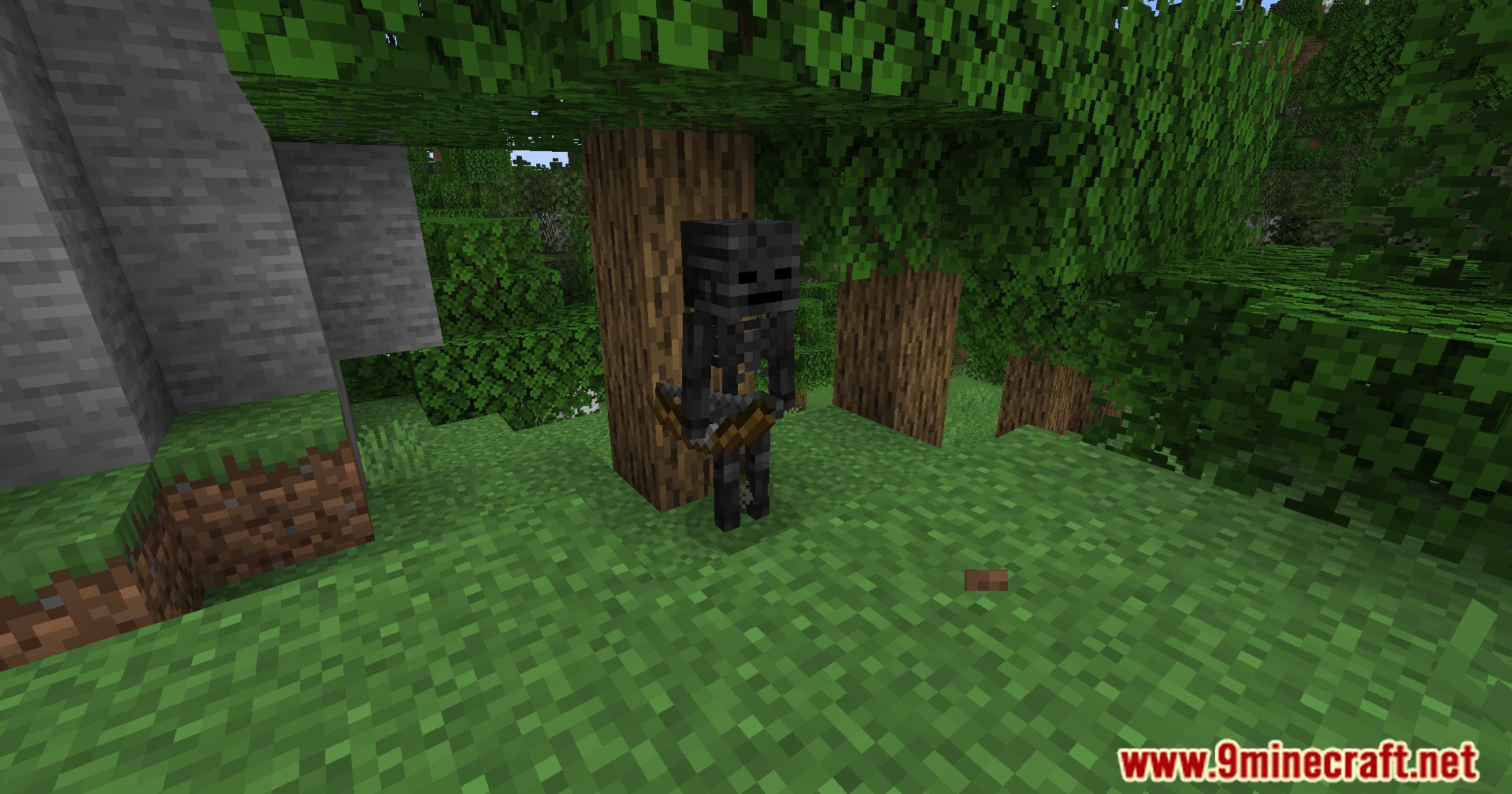 Wither Turns Skeletons Mod (1.21.1, 1.20.1) - Transforming Skeletons To Wither Skeletons 8