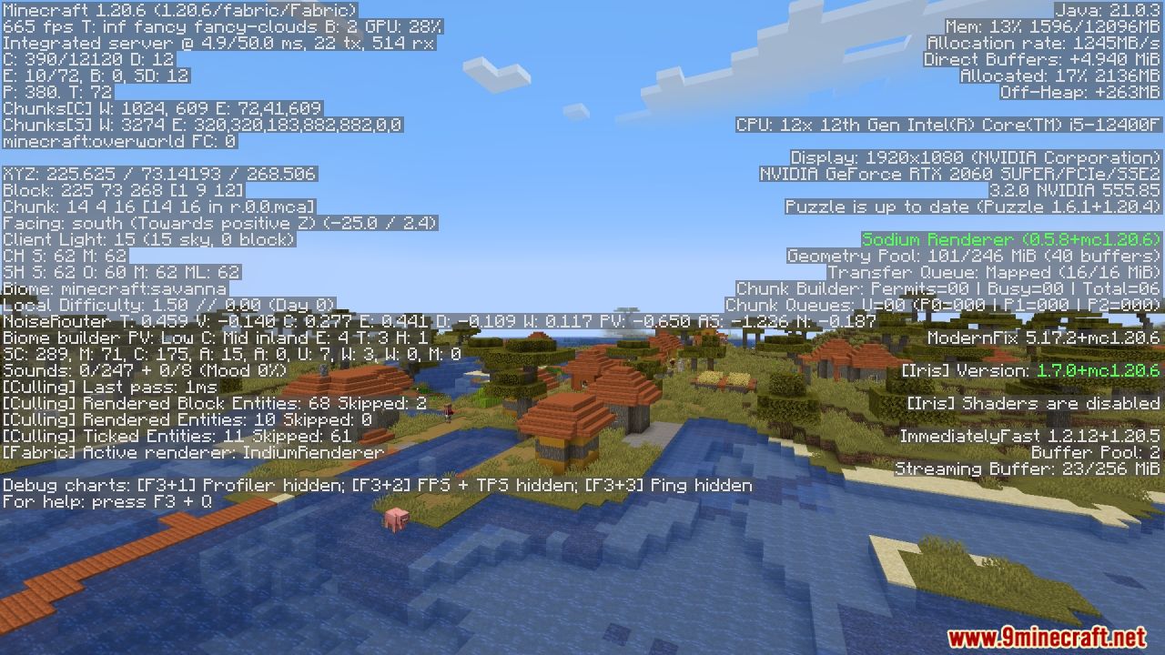 OptiFabric Modpack (1.21, 1.20.1) - OptiFine Features But More Optimized 6