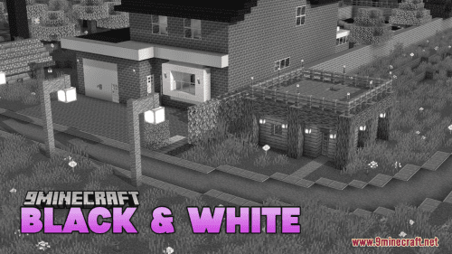 Black & White Resource Pack (1.21.1, 1.20.1) – Texture Pack Thumbnail