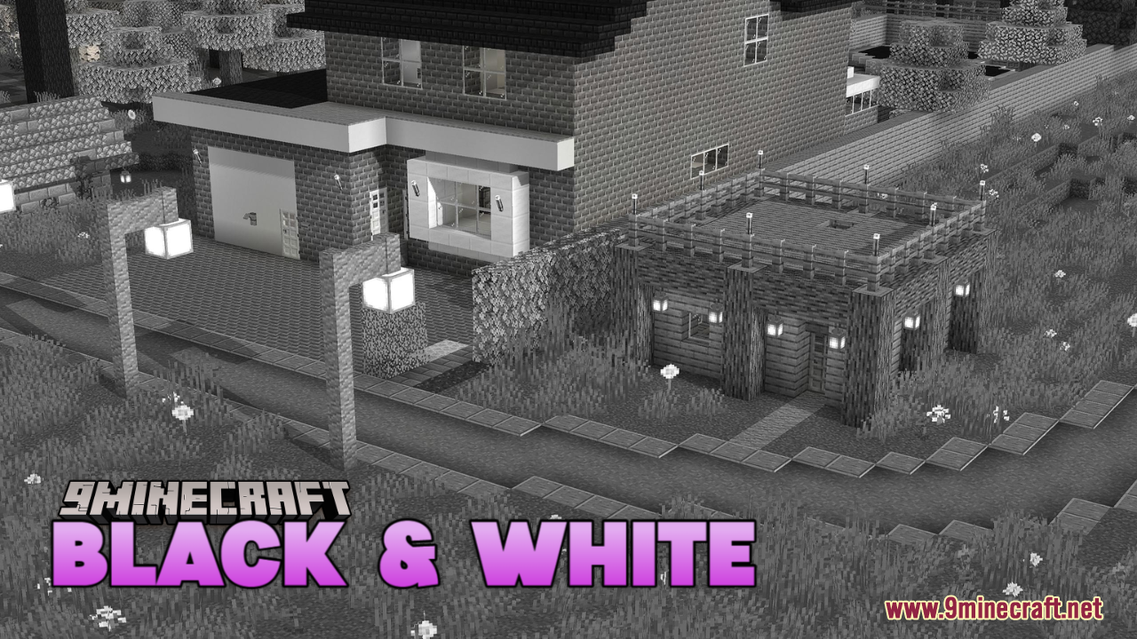 Black & White Resource Pack (1.21.1, 1.20.1) - Texture Pack 1