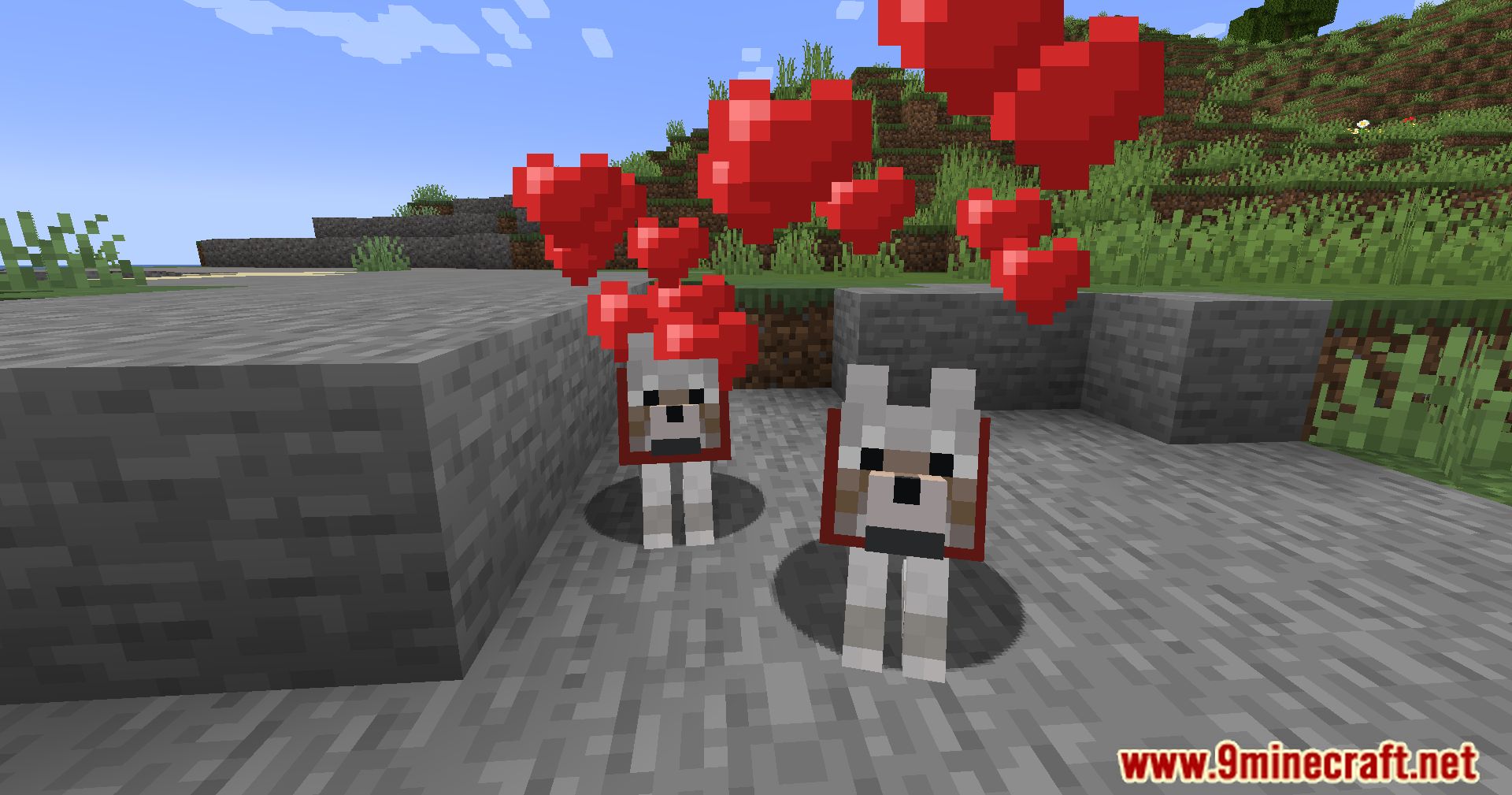 Calm Down Dog Mod (1.21.1, 1.20.1) - Bring More Love To Your Minecraft World 11