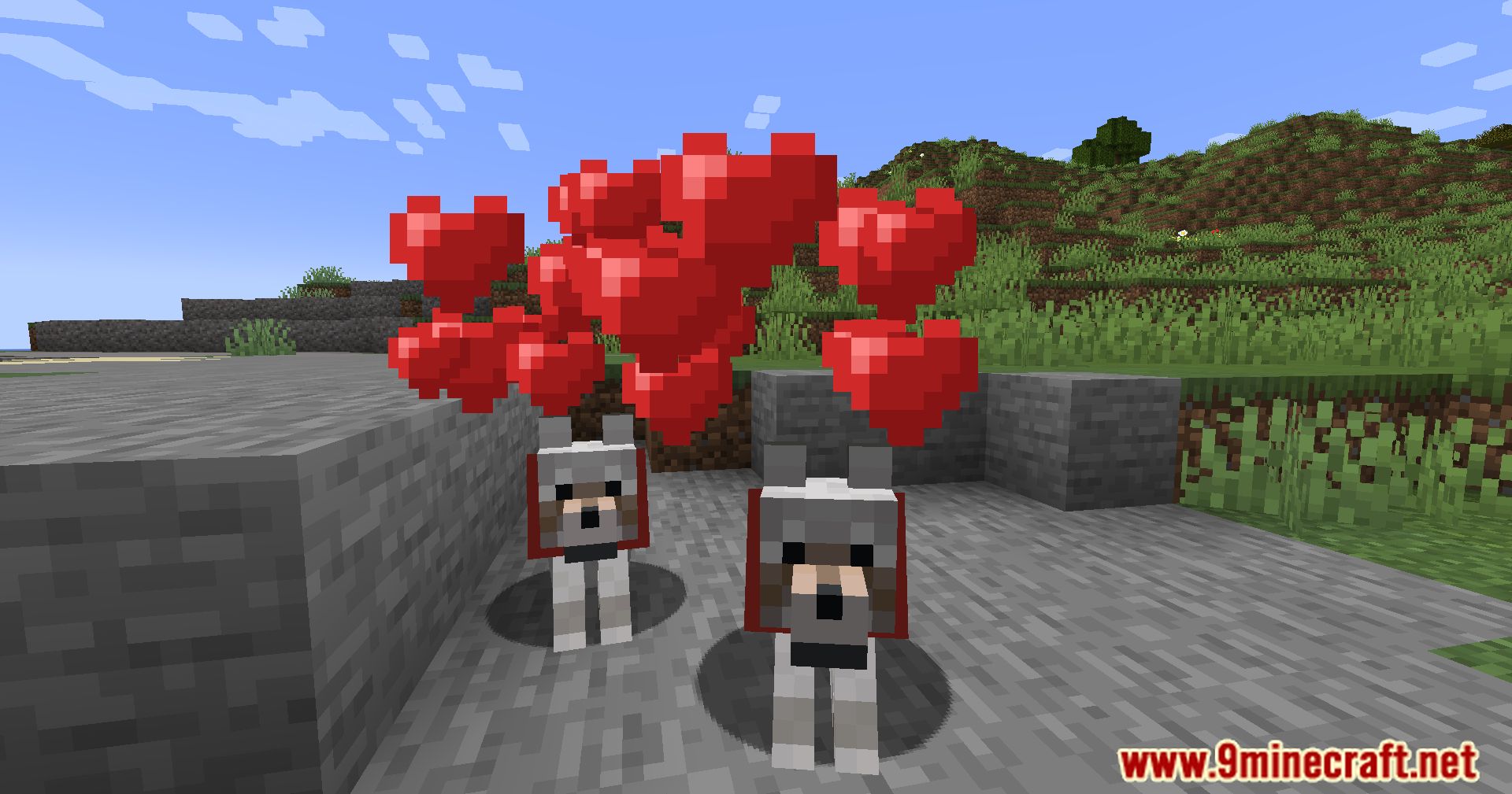 Calm Down Dog Mod (1.21.1, 1.20.1) - Bring More Love To Your Minecraft World 12