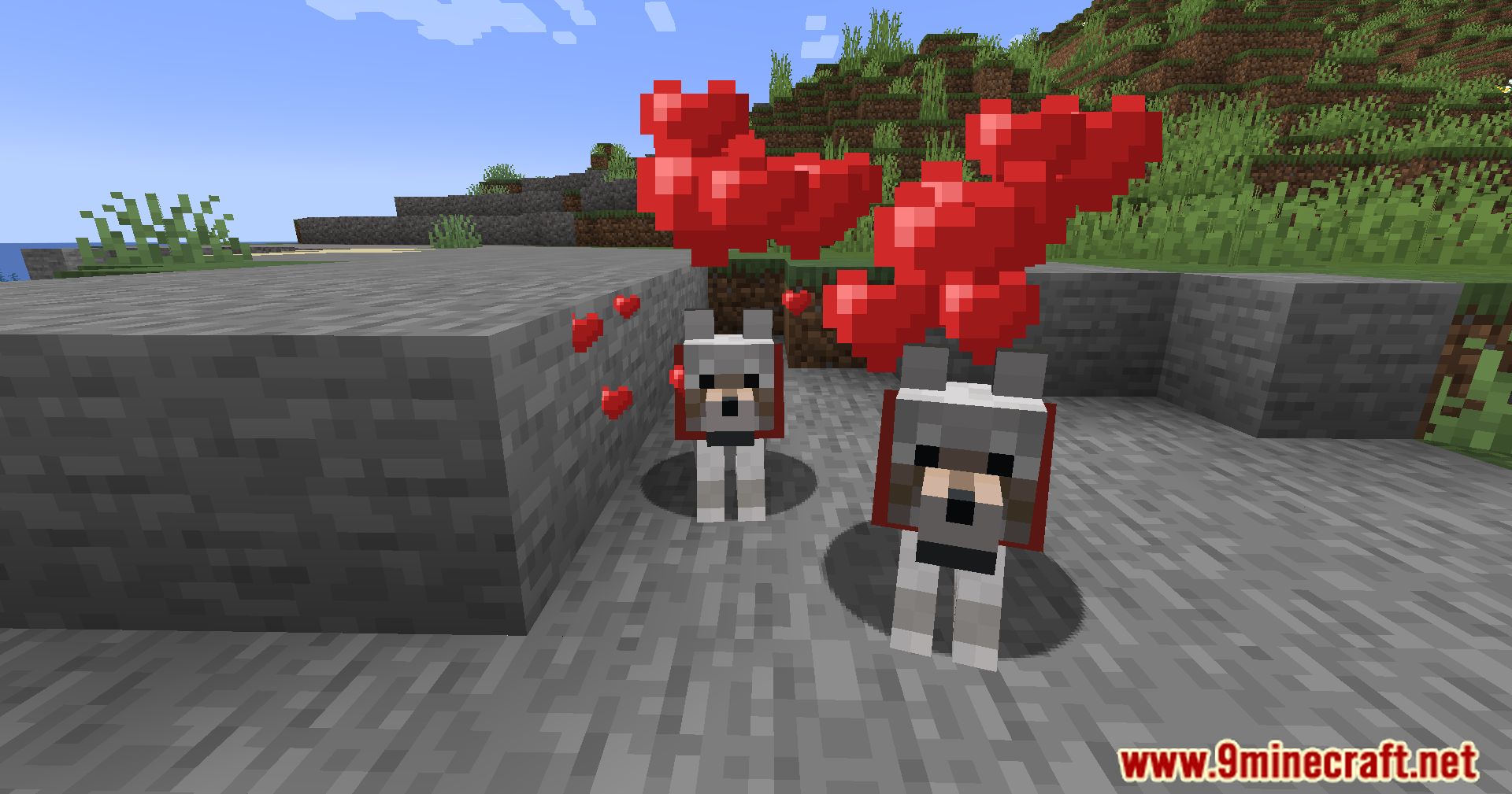 Calm Down Dog Mod (1.21.1, 1.20.1) - Bring More Love To Your Minecraft World 13