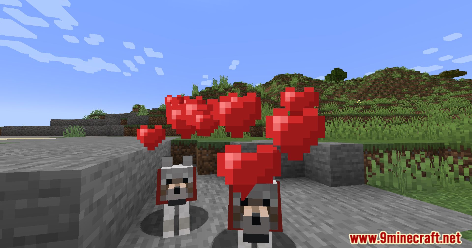 Calm Down Dog Mod (1.21.1, 1.20.1) - Bring More Love To Your Minecraft World 15