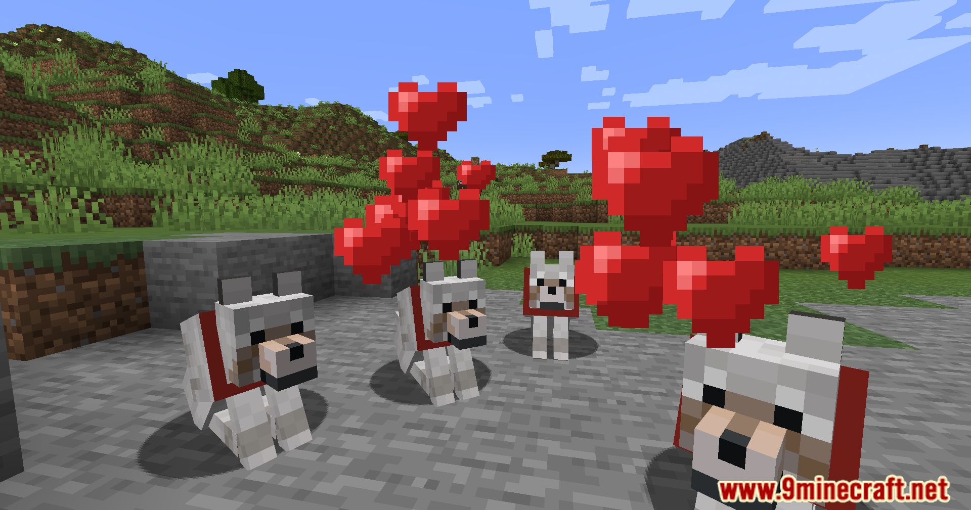 Calm Down Dog Mod (1.21.1, 1.20.1) - Bring More Love To Your Minecraft World 16