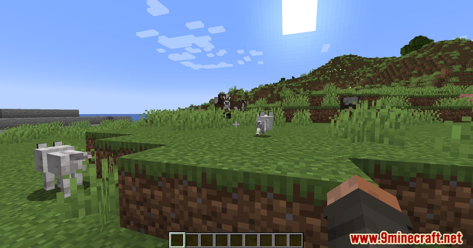 Calm Down Dog Mod (1.21.1, 1.20.1) - Bring More Love To Your Minecraft World 4