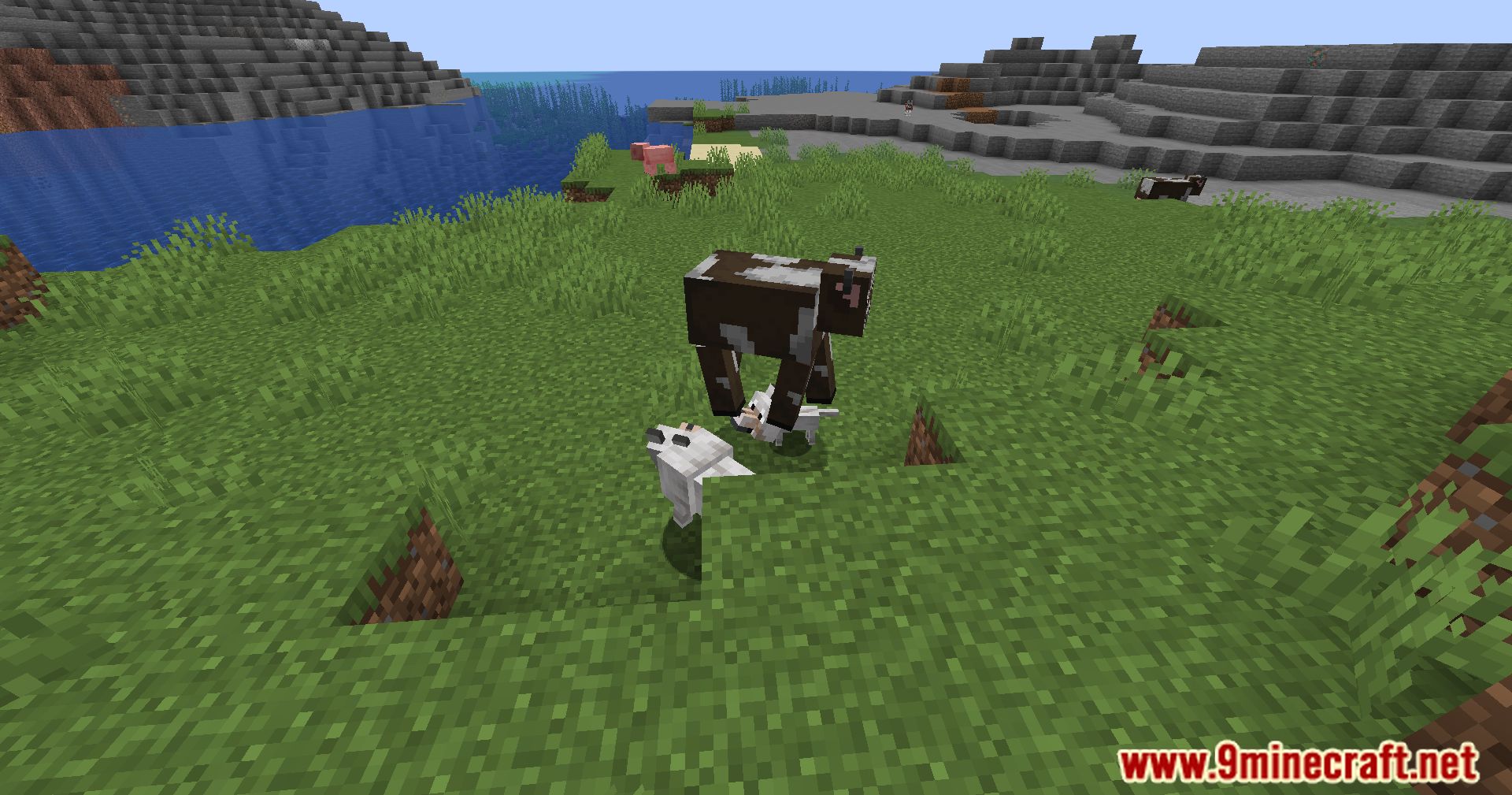 Calm Down Dog Mod (1.21.1, 1.20.1) - Bring More Love To Your Minecraft World 5