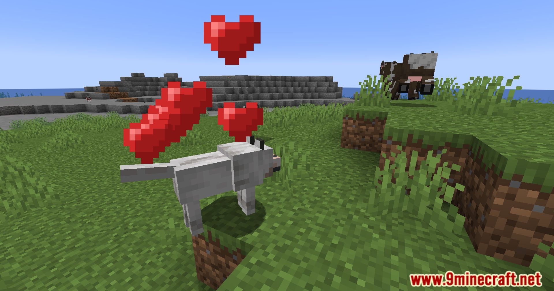 Calm Down Dog Mod (1.21.1, 1.20.1) - Bring More Love To Your Minecraft World 6