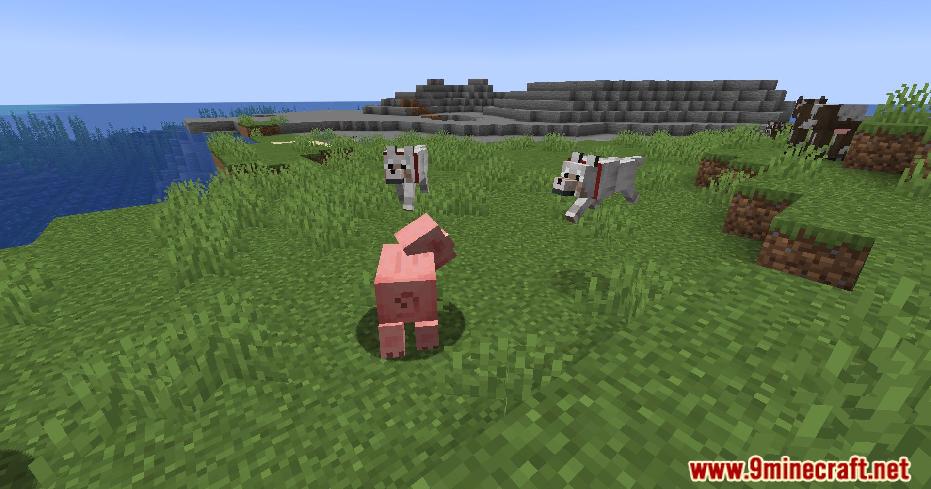 Calm Down Dog Mod (1.21.1, 1.20.1) - Bring More Love To Your Minecraft World 7