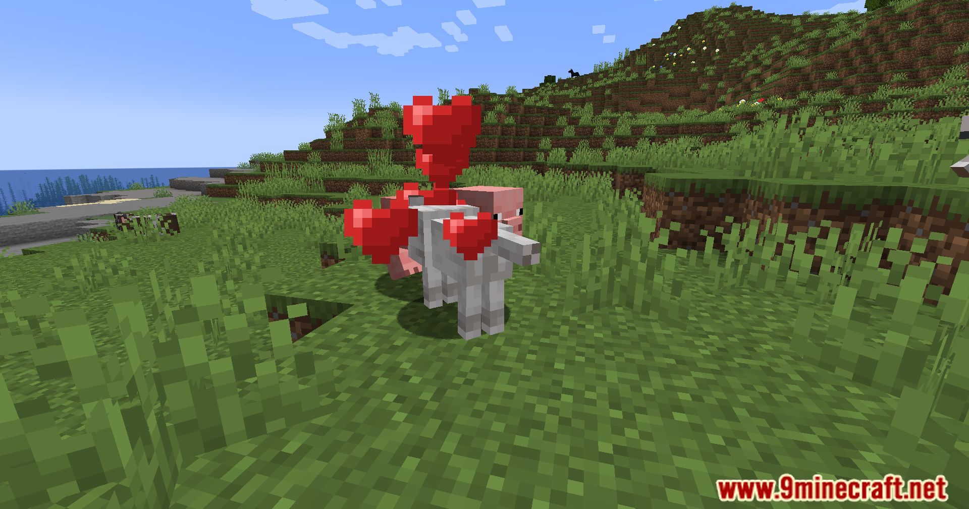 Calm Down Dog Mod (1.21.1, 1.20.1) - Bring More Love To Your Minecraft World 9