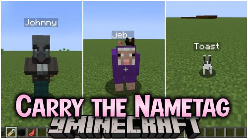 Carry the Nametag Mod (1.21, 1.20.1) – Parent Nametag Carryovers Thumbnail